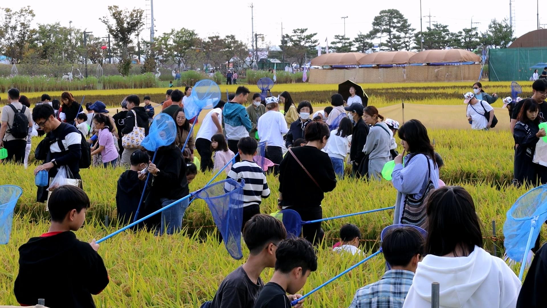 메뚜기잡기